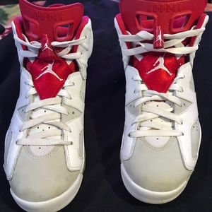 Air jordan Alternate 6s